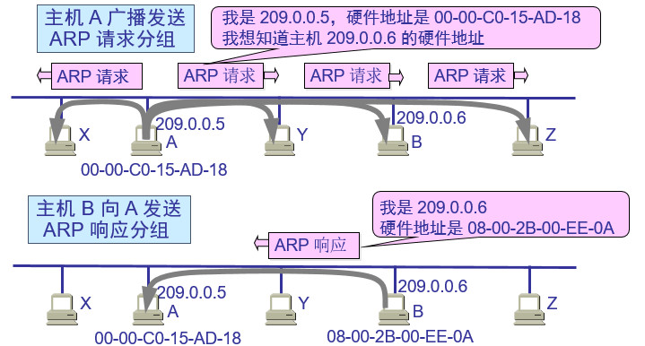 wireshark-arp-diagram.jpg